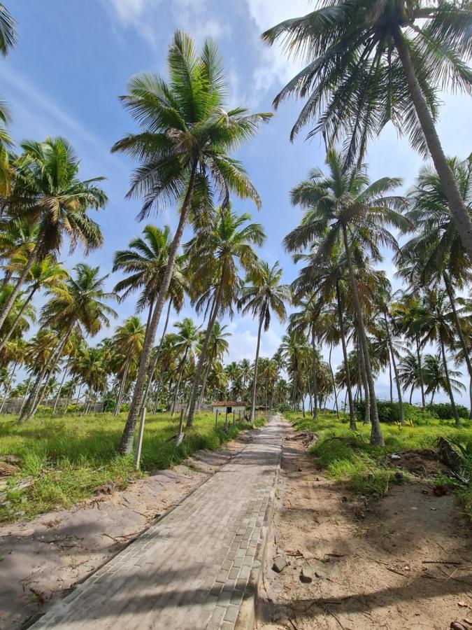 فيلا Casa Flora Patacho Pôrto de Pedras المظهر الخارجي الصورة